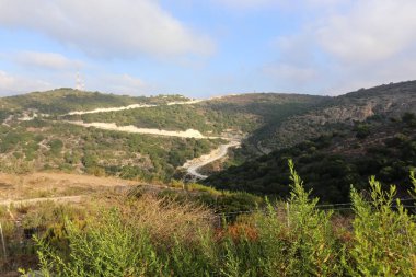 yol - yol-in iletişim 