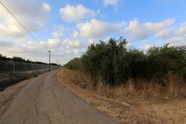 yol - yol-in iletişim 