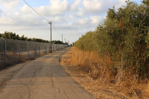 yol - yol-in iletişim 