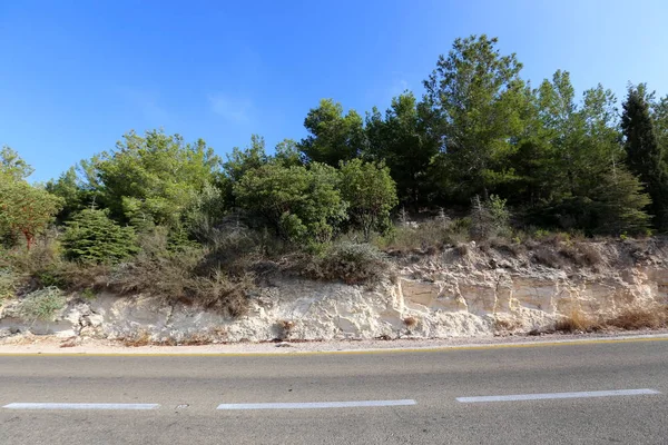 yol - yol-in iletişim 