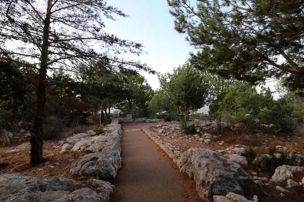 yol - yol-in iletişim 