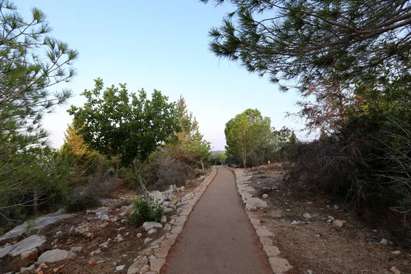 yol - yol-in iletişim 