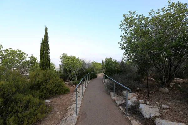 yol - yol-in iletişim 