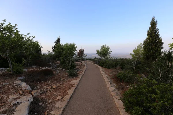 yol - yol-in iletişim 