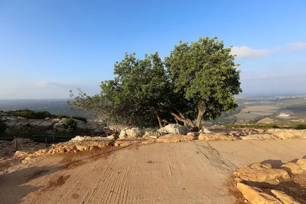 yol - yol-in iletişim 