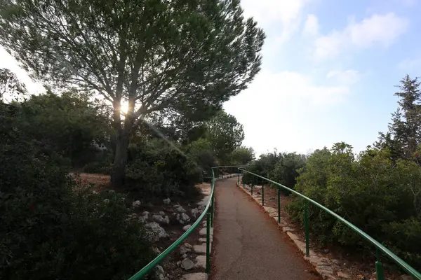 yol - yol-in iletişim 