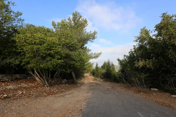 yol - yol-in iletişim 