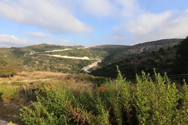 yol - yol-in iletişim 