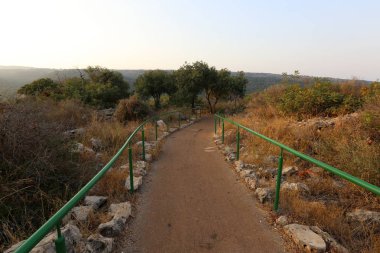 yol - yol-in iletişim 