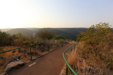 yol - yol-in iletişim 