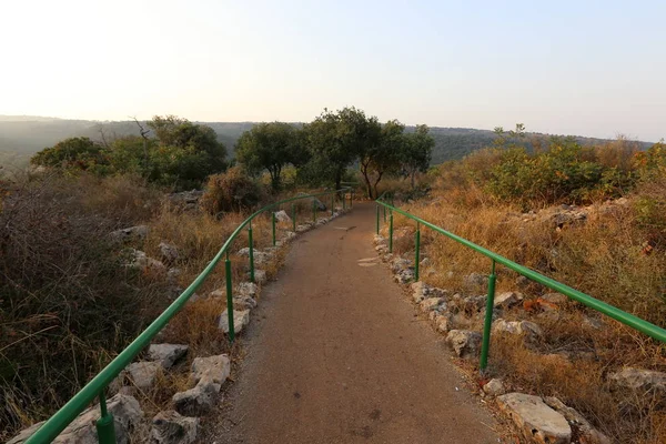 yol - yol-in iletişim 