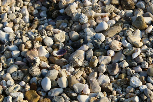 Pobřeží Středozemního moře — Stock fotografie