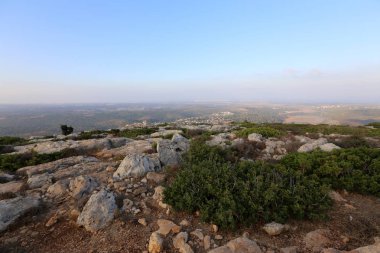 road yakınındaki taş 