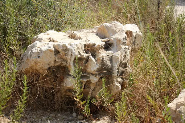 road yakınındaki taş 