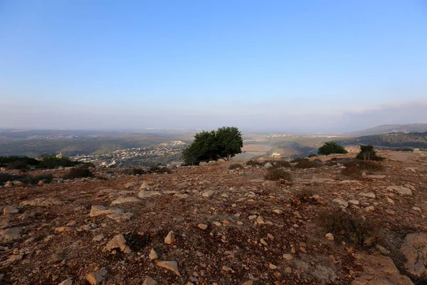 road yakınındaki taş 
