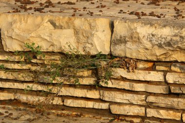 road yakınındaki taş 