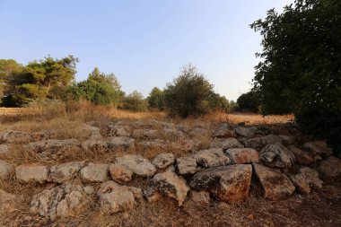 road yakınındaki taş 