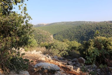 road yakınındaki taş 