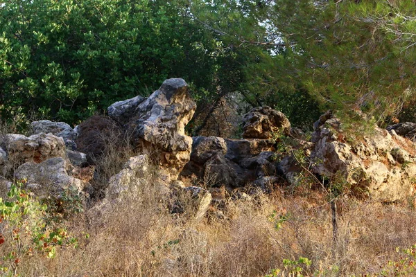 Πέτρες κοντά στο δρόμο — Φωτογραφία Αρχείου