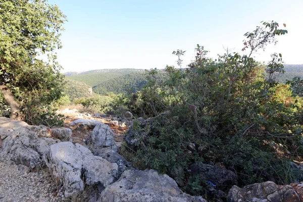 road yakınındaki taş 