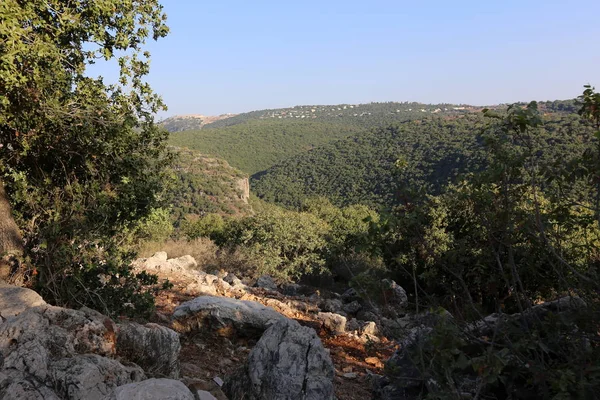 road yakınındaki taş 