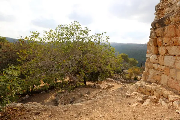 Yeghiam Kalesi Haçlı dönemi kalesidir 