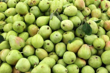 Meyveler ve meyveler 