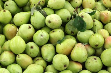 Meyveler ve meyveler 