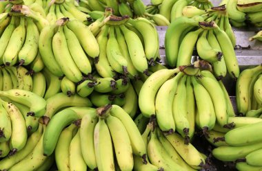 Meyveler ve meyveler 