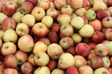 Meyveler ve meyveler 