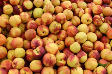 Meyveler ve meyveler 