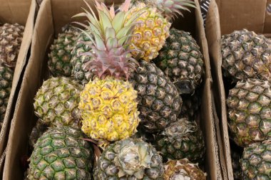 Meyveler ve meyveler 