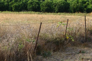 Çitin her zaman sınırı olduğunu 