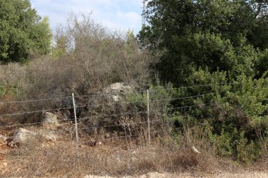 Çitin her zaman sınırı olduğunu 