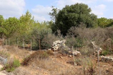 Çitin her zaman sınırı olduğunu 