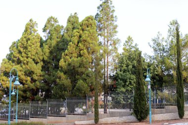 Çitin her zaman sınırı olduğunu 