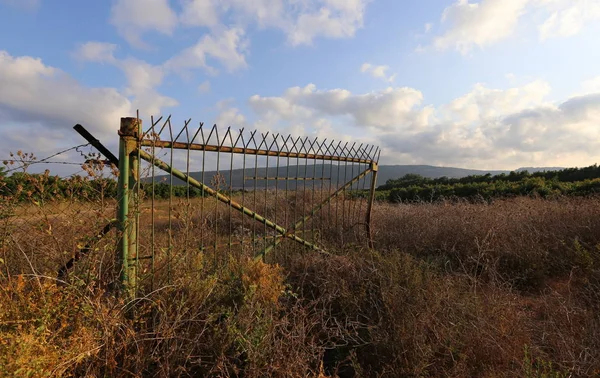 Çitin her zaman sınırı olduğunu 