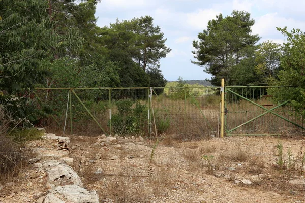 Çitin her zaman sınırı olduğunu 