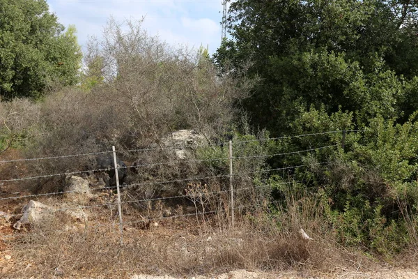 Çitin her zaman sınırı olduğunu 