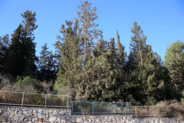 Çitin her zaman sınırı olduğunu 