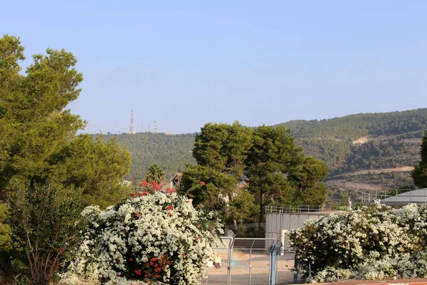 Çitin her zaman sınırı olduğunu 