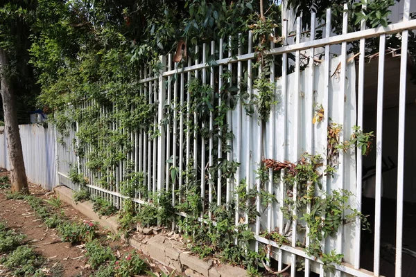 Çitin her zaman sınırı olduğunu 