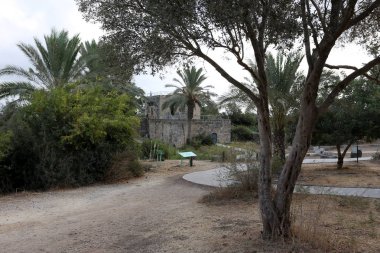 Ein Afek - nature reserve 