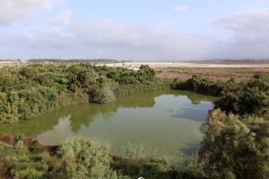 Ein Afek - nature reserve 