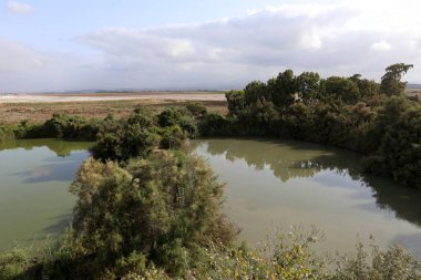 Ein Afek - nature reserve 