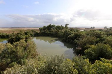 Ein Afek - nature reserve 