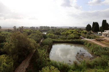 Ein Afek - nature reserve 