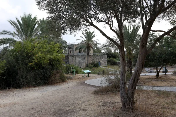 Ein Afek - nature reserve — Stock Photo, Image