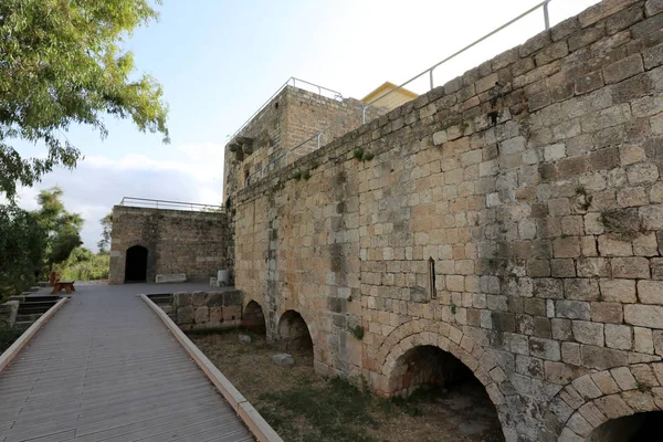 Ein Afek - nature reserve 