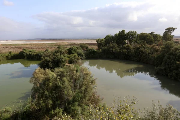 Ein Afek - nature reserve 